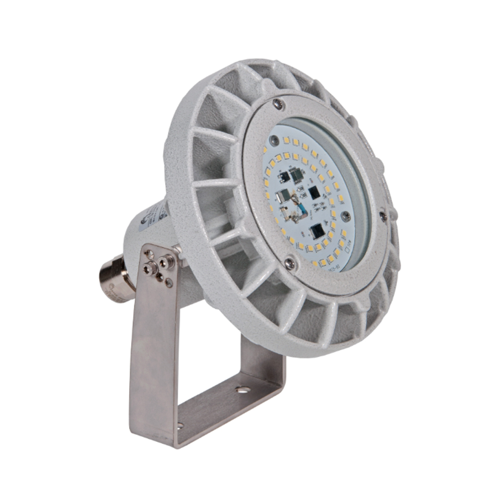 ĐÈN CHIẾU SÁNG LED CORTEM - LEDDEVL100/1