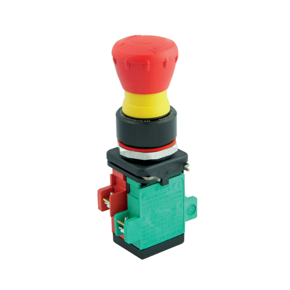 THIẾT BỊ ĐIỀU KHIỂN GIÁM SÁT VÀ TÍN HIỆU Ex E CORTEM - M-0605